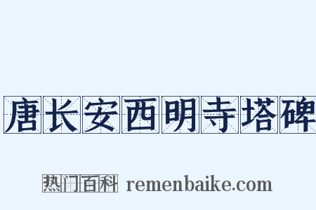 唐长安西明寺塔碑是什么意思的图片